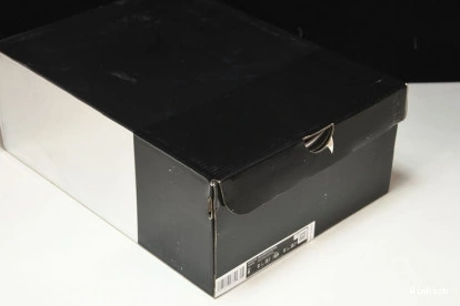 6 Air Jordan Silver” “Metallic DX2836-001 0807